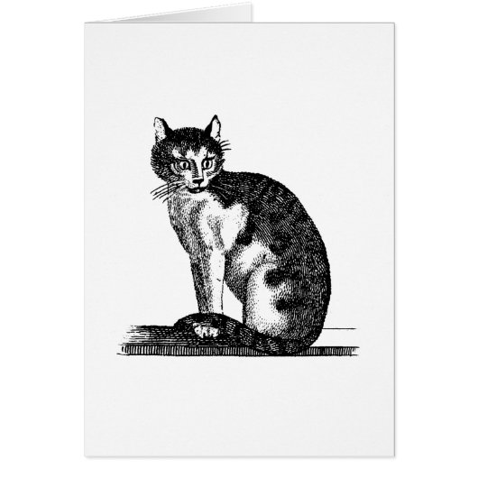 Vintage 1800s House Cat Illustration - Cats (Front)