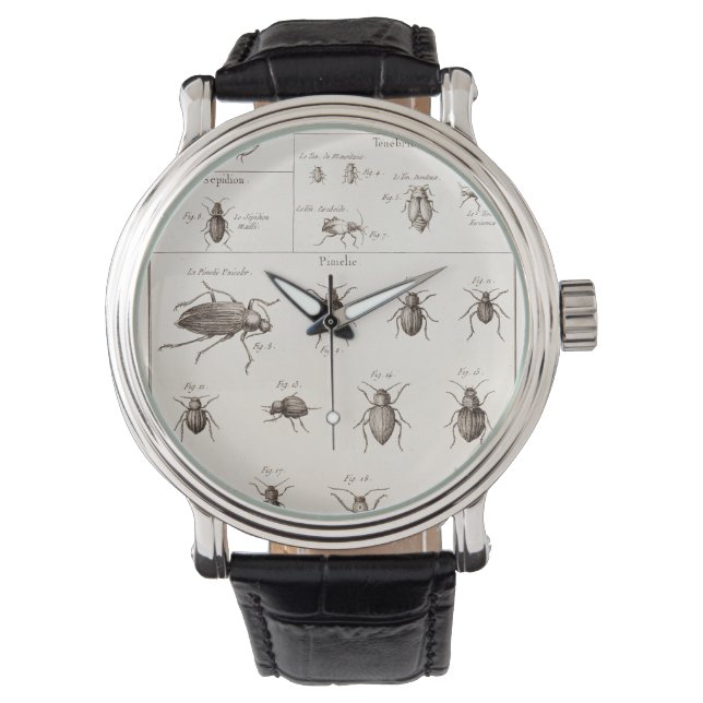 Vintage 1800s Insects Bugs Beetles Illustration Watch (Front)