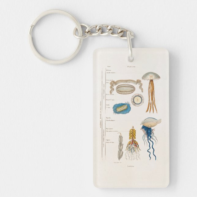 Vintage 1800s Jellyfish Illustration - Jelly Fish Keychain (Front)
