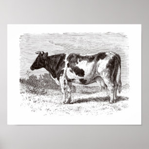Vintage 1800s Large Dutch Cow Retro Cows Template Poster