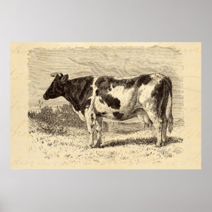 Vintage 1800s Large Dutch Cow Retro Cows Yellow Poster