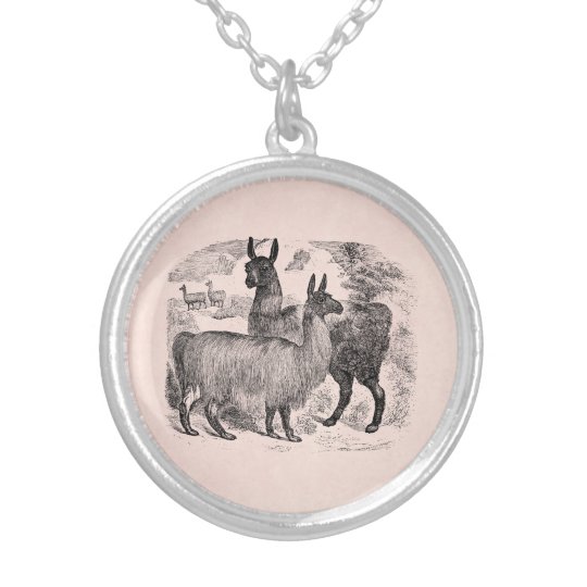 vintage 1800s llama retro pink llamas template silver plated