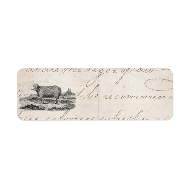 Vintage 1800s Merino Sheep Ewe Lamb Template Label (Front)