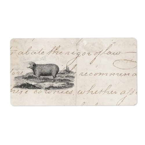 Vintage 1800s Merino Sheep Ewe Lamb Template Label