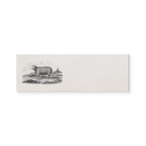 Vintage 1800s Merino Sheep Ewe Lamb Template Mini Business Card