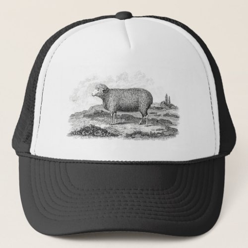 Vintage 1800s Merino Sheep Ewe Lamb Template Trucker Hat