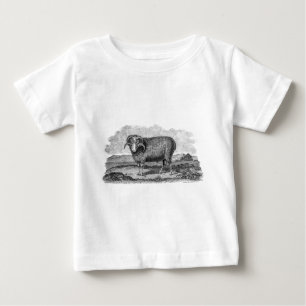 Vintage 1800s Merino Sheep Ram Lamb Template Baby T-Shirt
