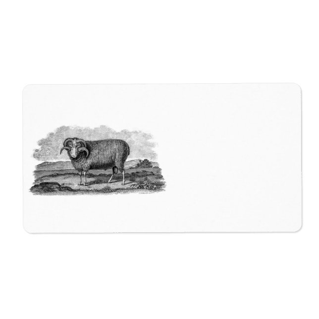 Vintage 1800s Merino Sheep Ram Lamb Template Label (Front)