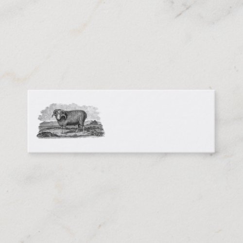 Vintage 1800s Merino Sheep Ram Lamb Template Mini Business Card