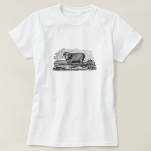 Vintage 1800s Merino Sheep Ram Lamb Template T_Shirt