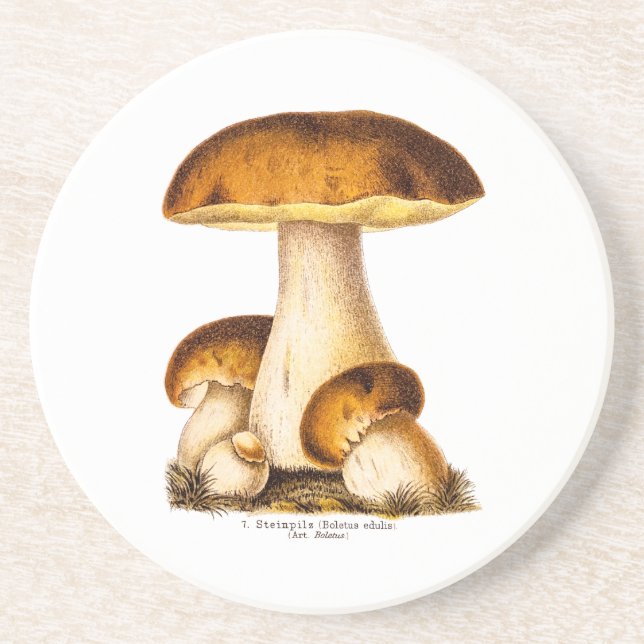 Vintage 1800s Mushroom Edible Mushrooms Template Drink Coaster (Front)