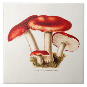 Vintage 1800s Mushroom Red Mushrooms Template Tile