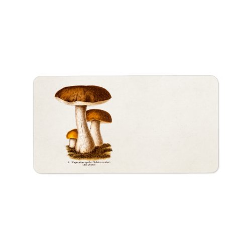 Vintage 1800s Mushroom Scaber Brown Mushrooms Label