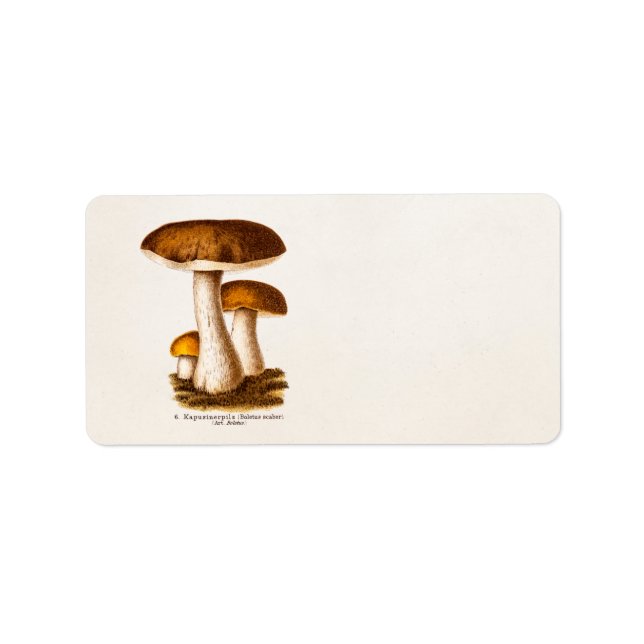 Vintage 1800s Mushroom Scaber Brown Mushrooms Label (Front)