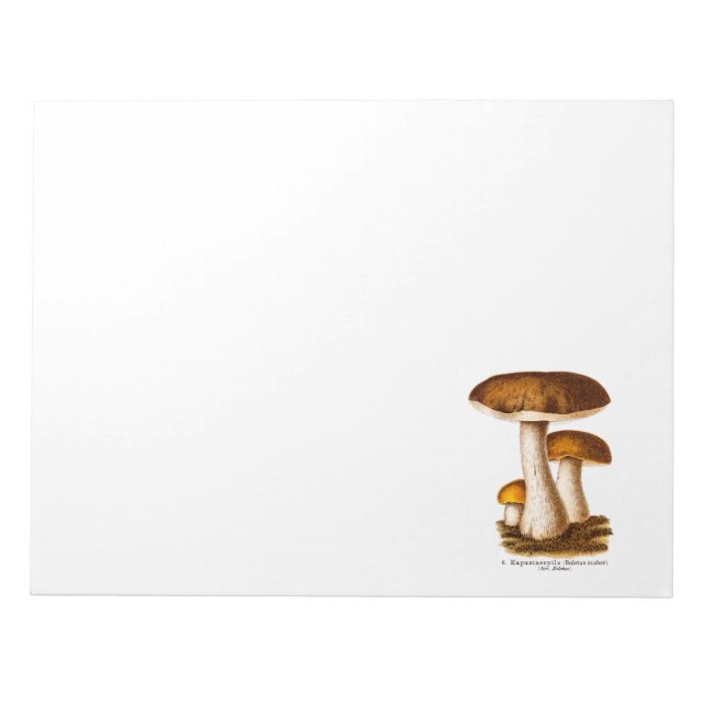 Vintage 1800s Mushroom Scaber Brown Mushrooms Notepad (Front)