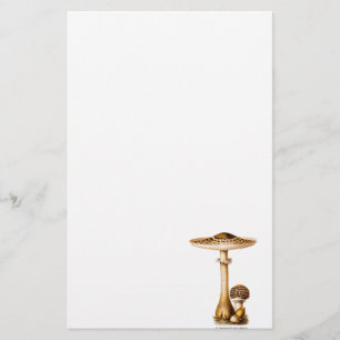Vintage 1800s Mushroom Spotted Mushrooms Template Stationery