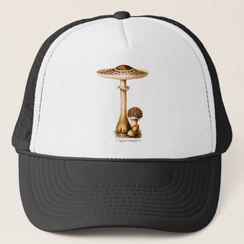 Vintage 1800s Mushroom Spotted Mushrooms Template Trucker Hat