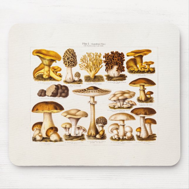 Vintage 1800s Mushroom Variety  Mushrooms Template Mouse Pad (Front)