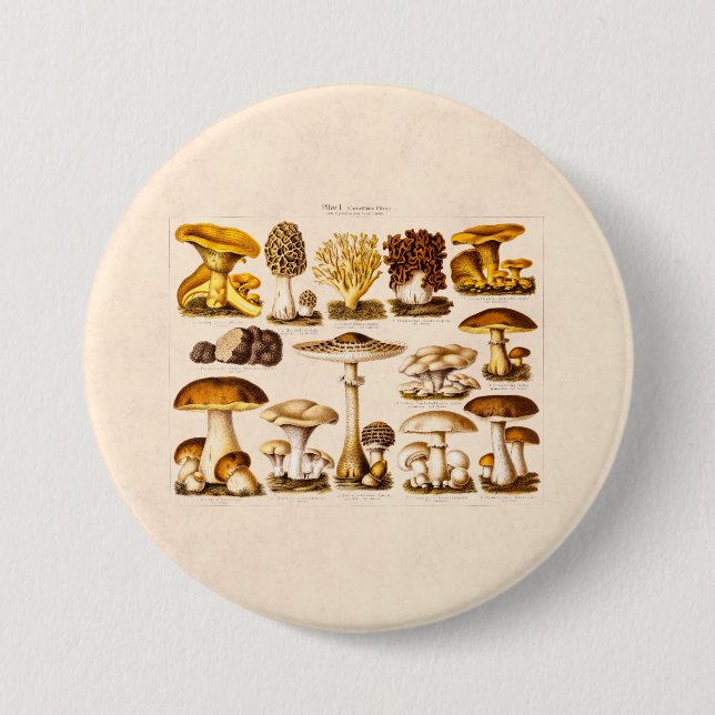 Vintage 1800s Mushroom Variety  Mushrooms Template Pinback Button (Front)