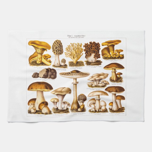Vintage 1800s Mushroom Variety  Mushrooms Template Towel (Horizontal)