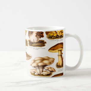 Vintage 1800s Mushroom Variety Template Coffee Mug