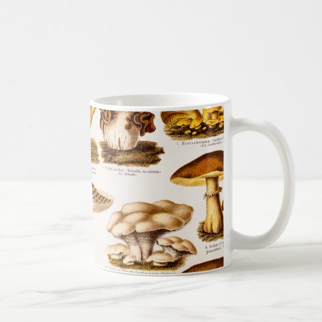 Vintage 1800s Mushroom Variety Template Coffee Mug (Right)