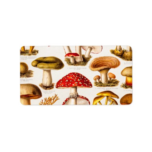 Vintage 1800s Mushroom Variety Template Label