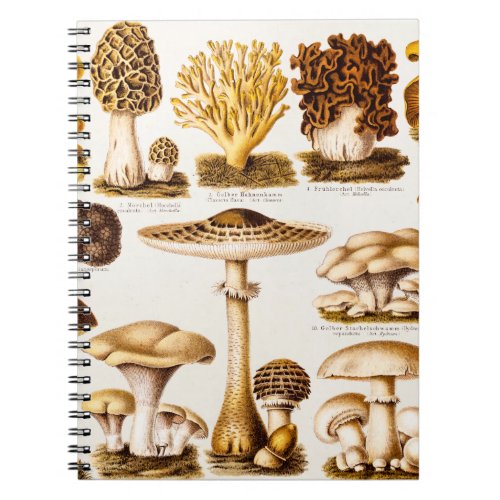 Vintage 1800s Mushroom Variety Template Notebook