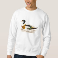 Vintage 1800s Old Drake Duck Illustration - Ducks