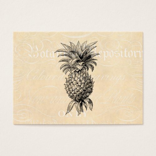 Vintage 1800s Pineapple Illustration Pineapples Business Cards