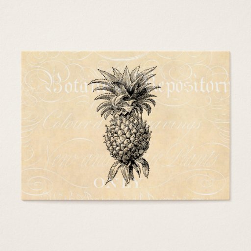 Customizable Vintage 1800s Pineapple Illustration Pineapples Business Cards