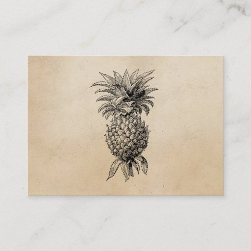 Customizable Vintage 1800s Pineapple Illustration Pineapples Business Card
