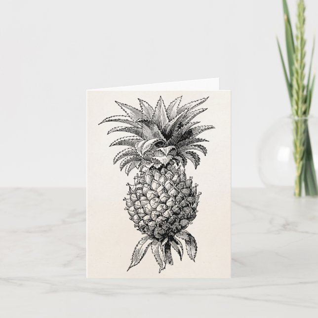 Vintage 1800s Pineapple Illustration Pineapples Card (Front)