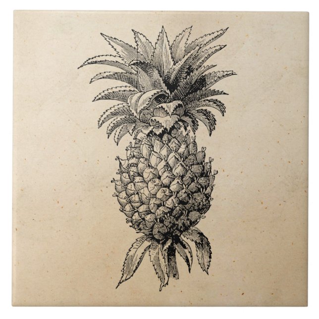 Vintage 1800s Pineapple Illustration Pineapples Ceramic Tile (Front)