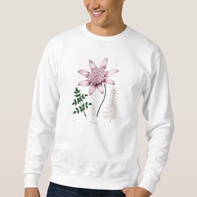 Vintage 1800s Pink Dahlia Flower Dahlias Floral Sweatshirt (Front)