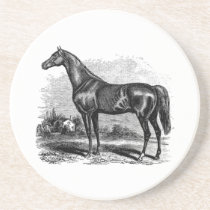 Vintage 1800s Race Horse Retro Thoroughbred Horses Drink Coaster