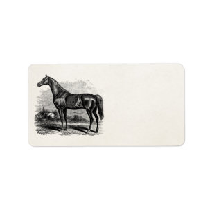 Vintage 1800s Race Horse Retro Thoroughbred Horses Label