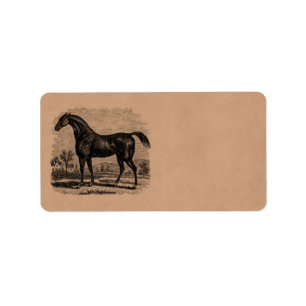 Vintage 1800s Race Horse Retro Thoroughbred Horses Label