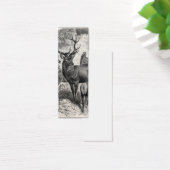 Vintage 1800s Red Deer Illustration Stag Doe Fawn (Desk)