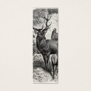 Vintage 1800s Red Deer Illustration Stag Doe Fawn