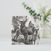 Vintage 1800s Red Deer Illustration Stag Doe Fawn (Standing Front)