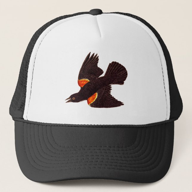 Vintage 1800s Red Winged Black Bird Illustration Trucker Hat (Front)