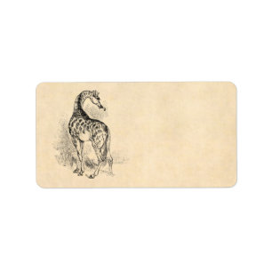Vintage 1800s Retro Giraffe Illustration Parchment Label
