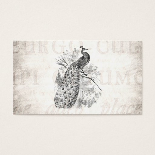 Customizable Vintage 1800s Retro Peacock Illustration Template Business Card Templates