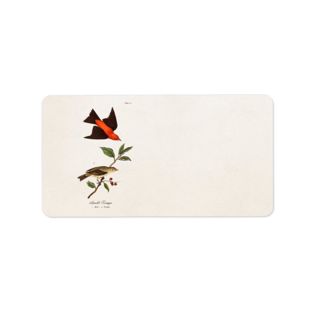 Vintage 1800s Scarlet Tanager Bird Songbird Birds Label (Front)