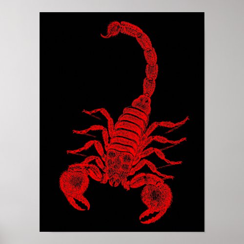Vintage 1800s Scorpion Illustration Red Scorpions Poster