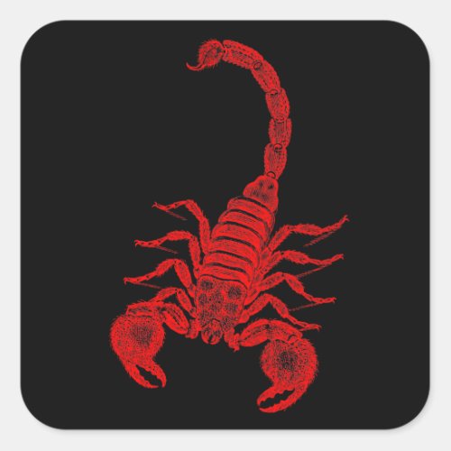 Vintage 1800s Scorpion Illustration Red Scorpions Square Sticker