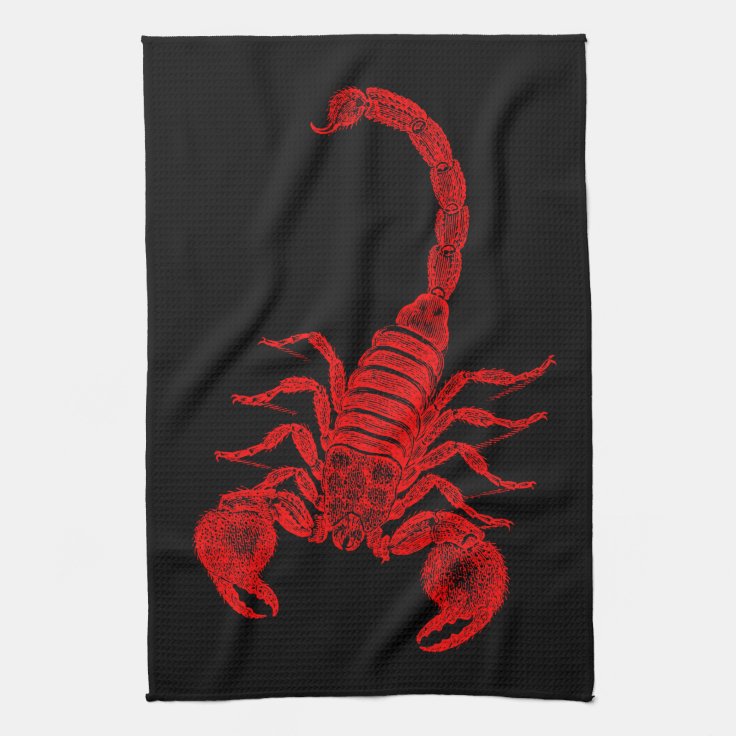 Vintage 1800s Scorpion Illustration Red Scorpions Towel Zazzle