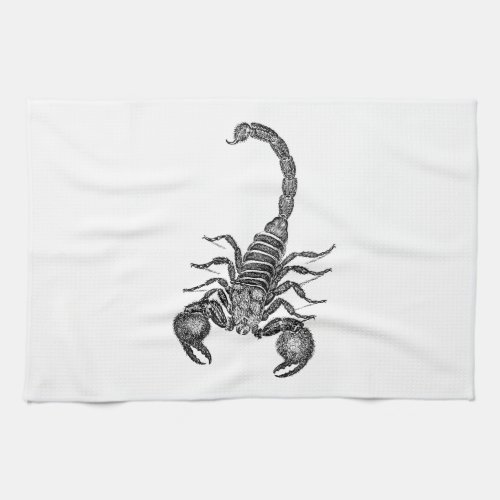 Vintage 1800s Scorpion Illustration _ Scorpions Kitchen Towel