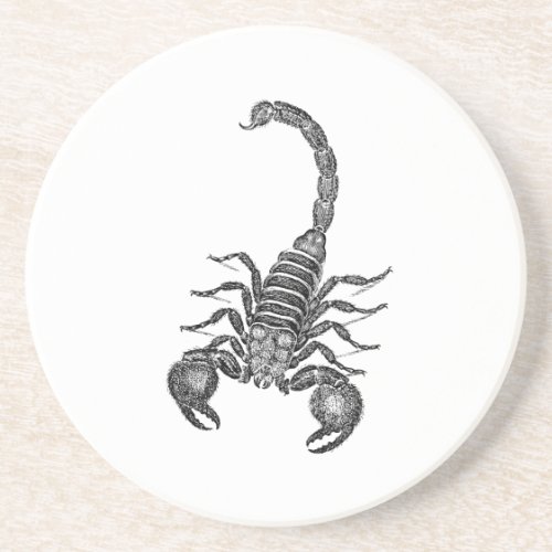 Vintage 1800s Scorpion Illustration _ Scorpions Sandstone Coaster